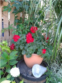 12979d15-2016-07-27 07.36.48.jpg